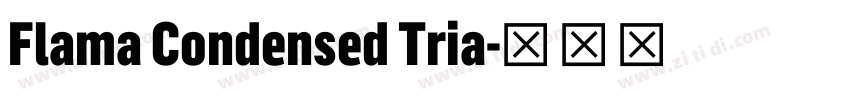 Flama Condensed Tria字体转换 Flama Condensed Tria字体转换